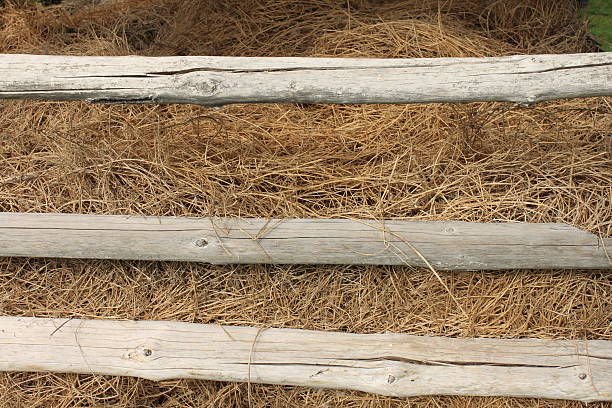Hay background close-up